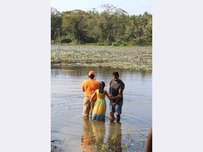 cocoworld bungalow , Sri Lanka