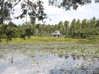 cocoworld bungalow , Sri Lanka